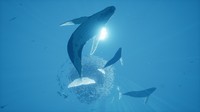 ABZU screenshots 06 small دانلود بازی ABZU برای PC